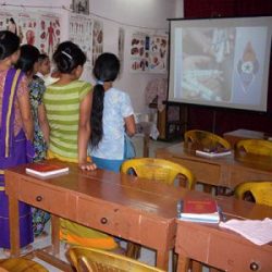 Girls at school in Assam watch a lesson.