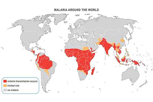Malaria around the world