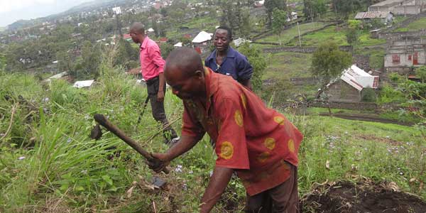 South Kivu land preparation
