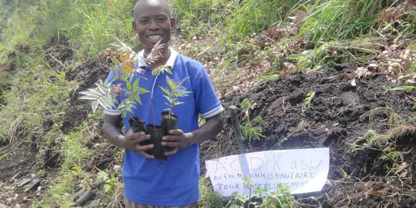 DR Congo: Grassroots Group Plants Trees to Combat Climate Change