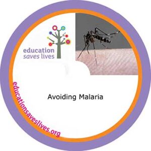 Avoiding Malaria Lesson