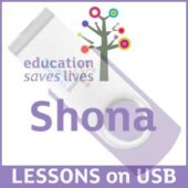 Shona Lessons on USB including lessons in English