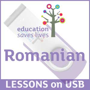 Set of Romanian Lessons on USB